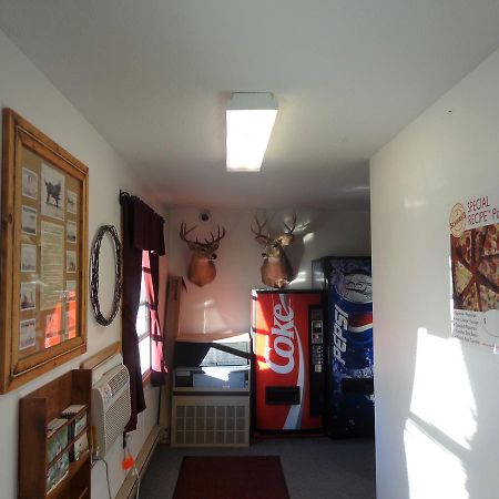 Tipperary Lodge Buffalo 외부 사진